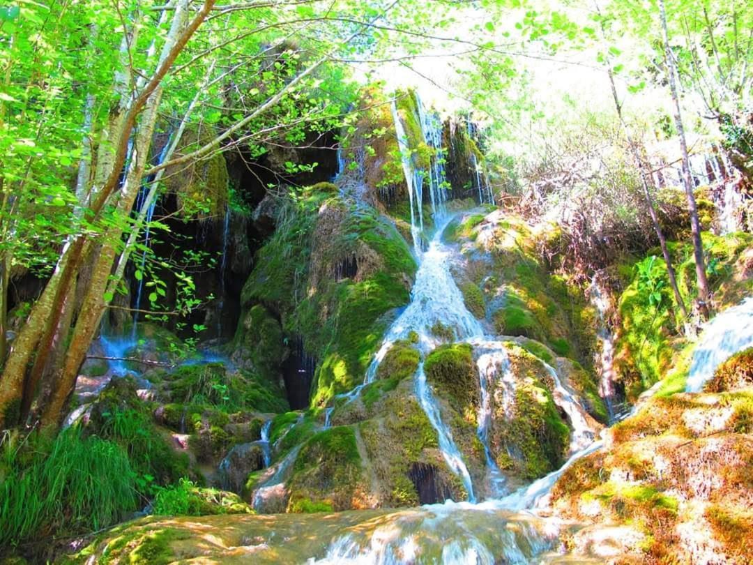 La Chabottine Vercors Saint-Just-de-Claix エクステリア 写真